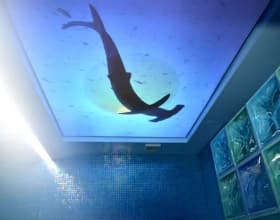 Какой материал подойдет лучше для потолка в ванной